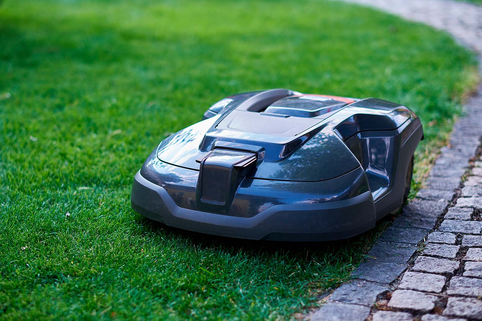 Robotgrasklippare klipper gräsmatta